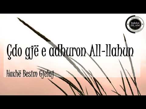 Çdo gjë e adhuron All-llahun {Hytbe} - Hoxhë Besim Gjelaj