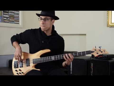 SEYMOUR DUNCAN BASS BLACKOUTS