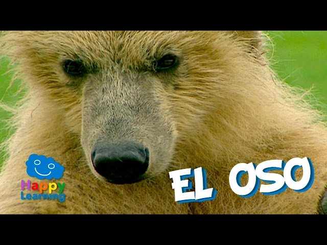 Výslovnost videa característica v Španělština
