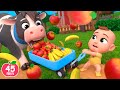 Apples And Bananas Feeding Animals Song MORE Lalafun Nursery Rhymes Kids Songs