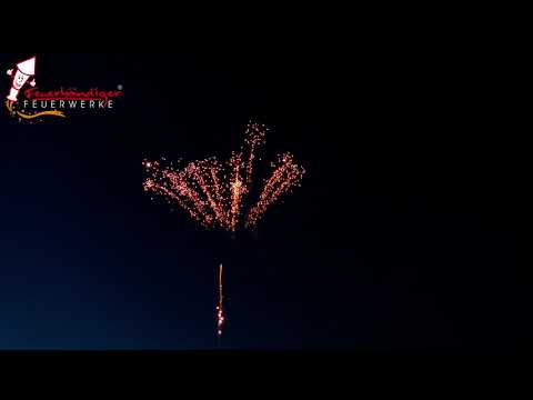 Feuerwerk F2 von Feuerbändiger