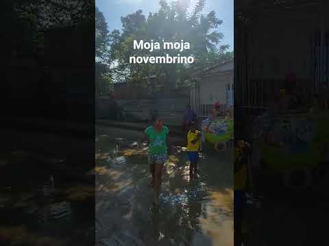 moja, moja , novembrino en mahates bolivar