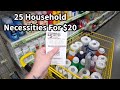 DITL REAL LIFE ON A LOW WAGE | $20 HOUSEHOLD NECESSITY HAUL 