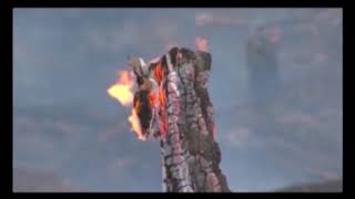 Отмена режима чрезвычайной ситуации в лесах регионального характера