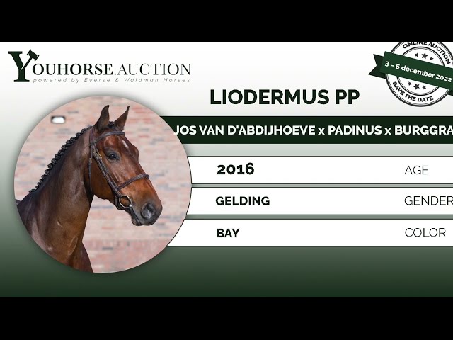 Liodermus PP