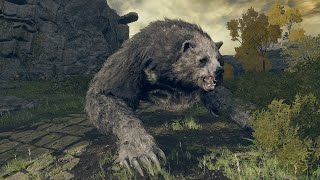 そうだ、安寧者を練習しよう【エルデンリング ナイトレイン】