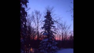 In the Heart of Winter - Robin Spielberg