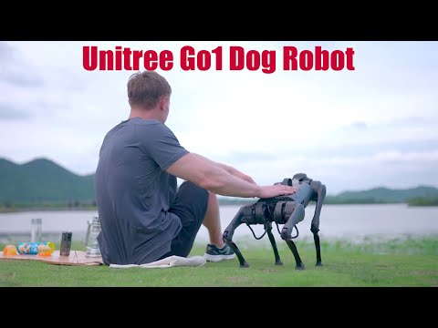 Unitree Go1 Robot | Unitree Dog Robot