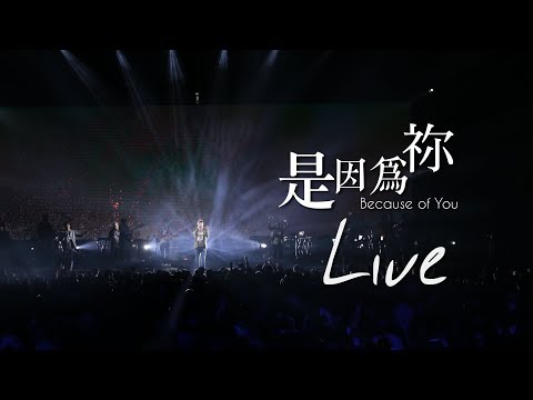 【是因為祢 / Because of You】Music Video - 約書亞樂團 ft. 趙治德