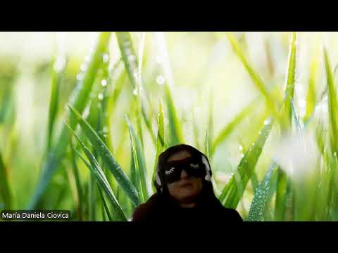 HIPNOZA REGRESIVA.RO340 Ionel,casa parinteasca ,presiunea responsabilitatilor materiale si refularea