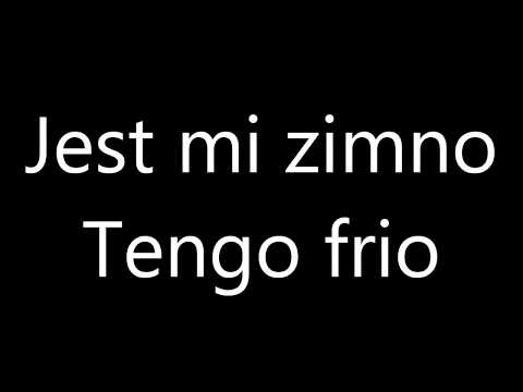 Learn Polish: 100 Polish Phrases for Beginners