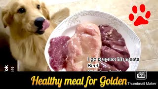 Golden retriever daily meal preparation