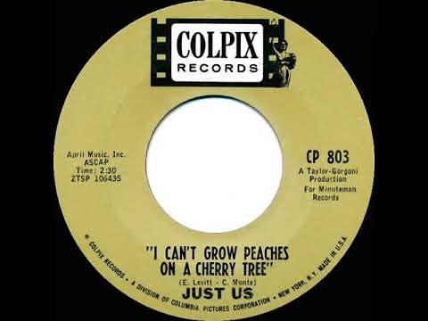 1966 HITS ARCHIVE: I Can’t Grow Peaches On A Cherry Tree - Just Us (mono 45)