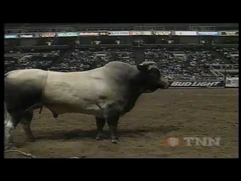 Winchester bucks Shawn Turner - 97 PBR San Jose