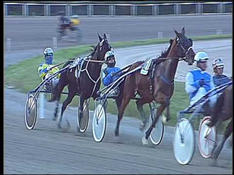 Trotto 13/11/2016 - 4ª corsa