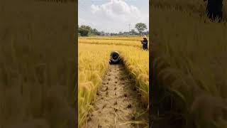 Download lagu lprice 149sale shop sale market #shortvideo #video #trending #ytshorts #tiktokd mp3