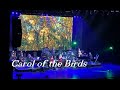 Mannheim Steamroller - 22 - Carol of the Birds