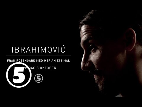 Ibrahimović – från Rosengård med mer än ett mål
