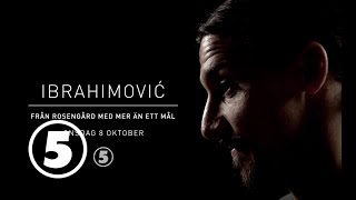 Ibrahimović – från Rosengård med mer än ett mål