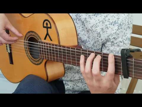 Flamenco Guitar Scale Exercises | E Phrygian Scale | Beginner's Flamenco Guitar Lessons