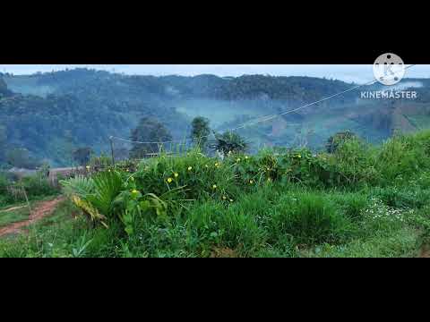 qeej nub nrws tsaus ntuj ....nyiaj lwm vaj