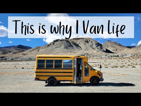 #Shorts My New Favorite #Vanlife Camping Spot - Solo Female Van Life in Short Bus