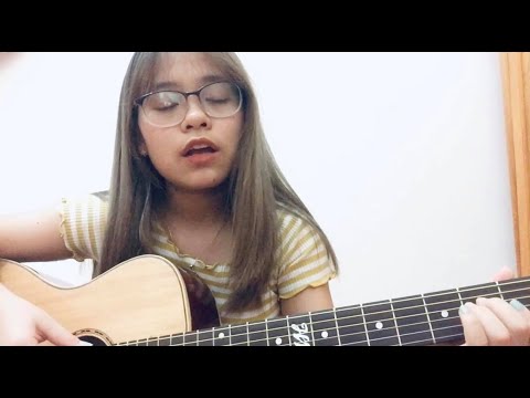 The visitor - IU (cover)