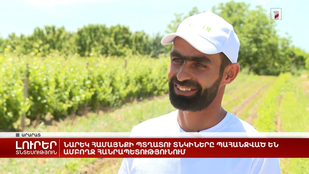 Նարեկ համայնքի պտղատու տնկիները պահանջված են ամբողջ հանրապետությունում