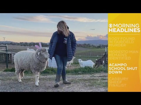 Morning headlines - 03/08/2023