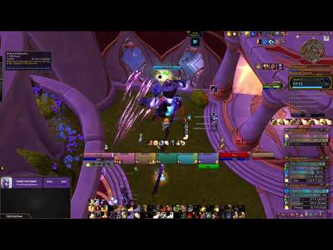 Midnight Beta 17 Magister's Terrace (289 ilvl) l Holy Paladin (12.0.1)
