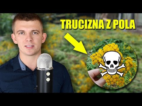 *NIEBEZPIECZNE* zioło z Twojego podwórka - WROTYCZ | Sędkowski