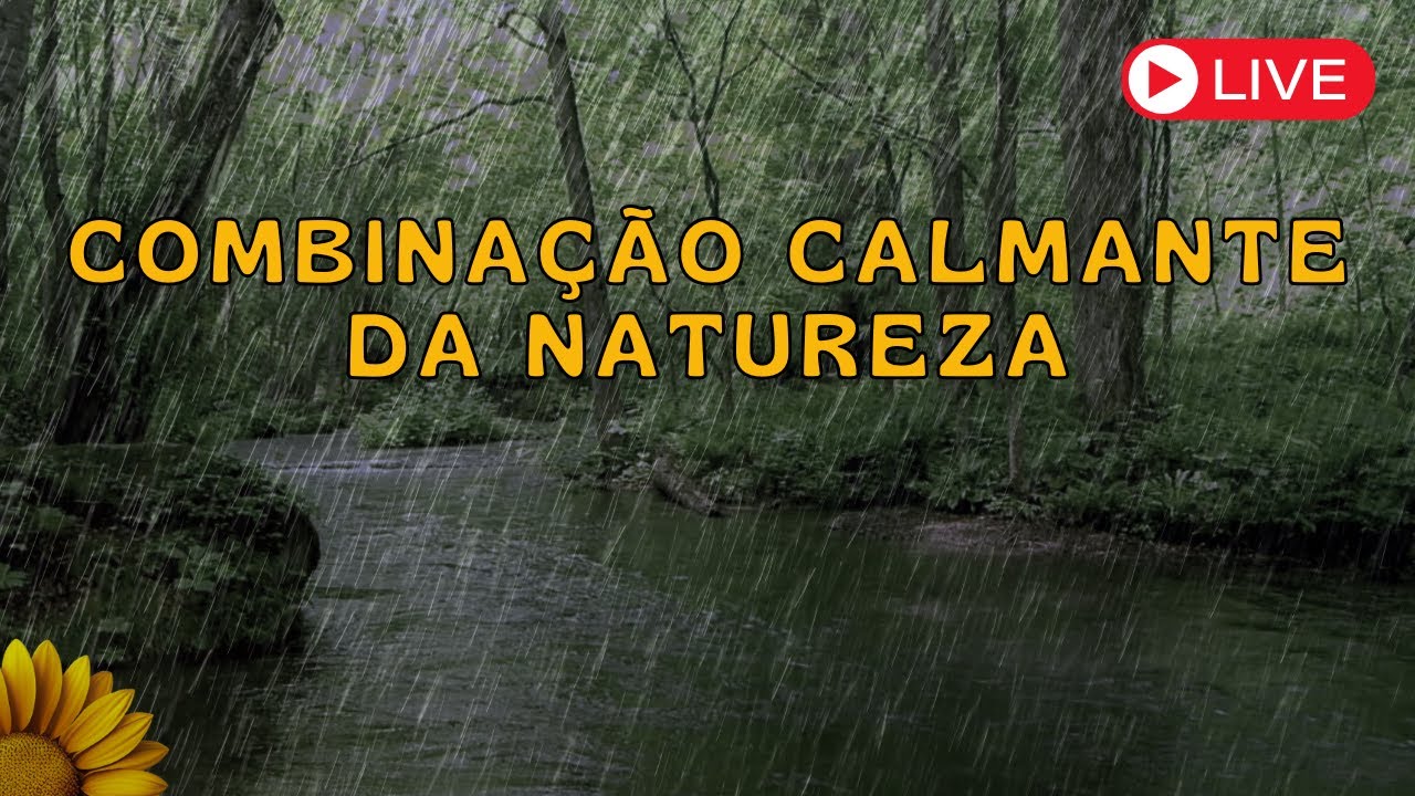 🔴Combinação CALMANTE da NATUREZA, SOM de CHUVA com  RIACHO ao fundo DORMIR e RELAXAR💤