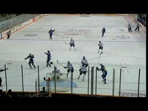 2009 World Junior Ice Hockey Championships: Sweden - Finland