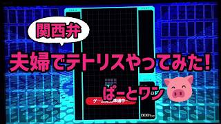 テトリス９９をゲーム実況してみたら集中し過ぎて…【ぽち嫁】初心者夫婦ゲーム実況