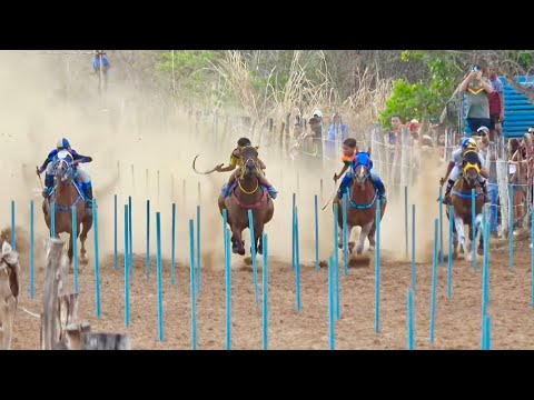 PRADO PETRONILHO - Barra D'Alcantara 2025