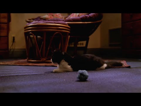 AllSpuffyScenes 7x21 This is what happened to Miss Kitty Fantastico