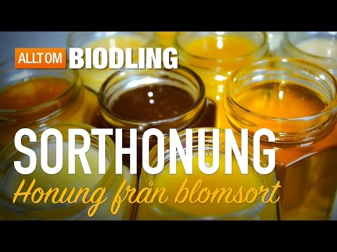 Sorthonung - Honung från blomsort