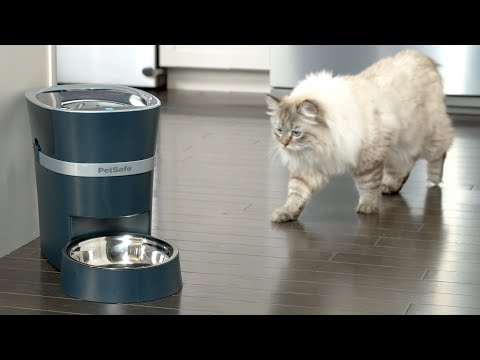 PetSafe Smart Feed Automatic Pet Feeder išmani automatinė šunų ir kačių šėrykla video
