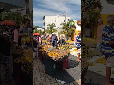 FEIRA DE SANTA INÊS BAHIA #shorts #feira #santainês #bahia #turismo #cultura #cidade #gratidão