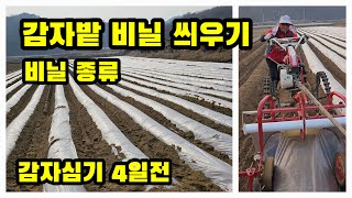 감자밭 비닐피복 관리기로 비닐 종류 그리고 선택 감물감자 괴산감자 수미감자 [감자재배방법]