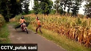 Download lagu Story WA kapten oleng mp3