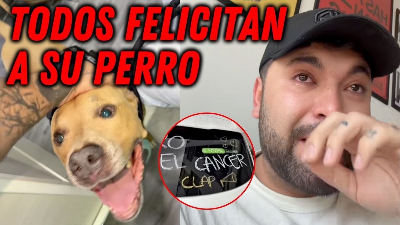 Su PERRO superó el CÁNCER y TODO el INTERNET lo FELICITA