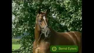 Video von Alabaster