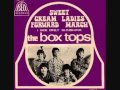 THE BOX TOPS ~ I SEE ONLY SUNSHINE 