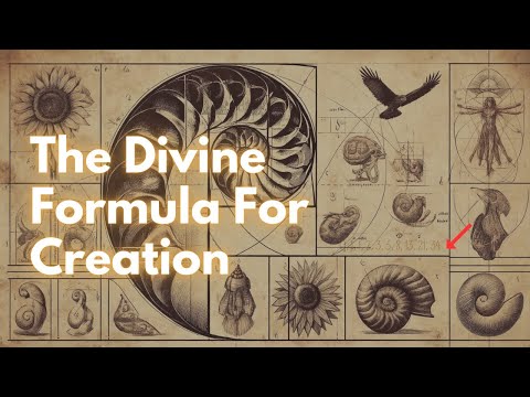 This Sacred Geometry Will Help You Understand The Universe: Fibonacci Spiral (Golden Ratio)