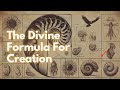 This Sacred Geometry Will Help You Understand The Universe Fibonacci Spiral Golden Ratio