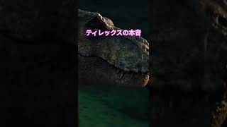ティレックスの本音を言ってみた！ #恐竜鳴き声チャレンジ  #鳴き声チャレンジ #ティラノサウルス #ティレックス #恐竜 #short