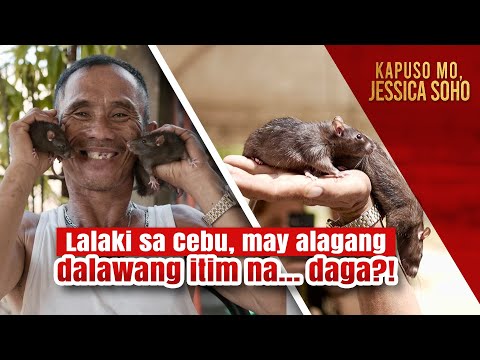 alagang dalawang itim na daga