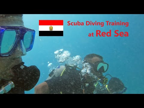 First Scuba Diving Training at Red Sea Hurghada Egypt 🇪🇬 Scary&Beautiful Experience 10mDeep 4K Video