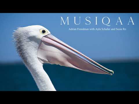 Adrian Freedman with Ayla Schafer and Susie Ro ⋄ Astral Dawn